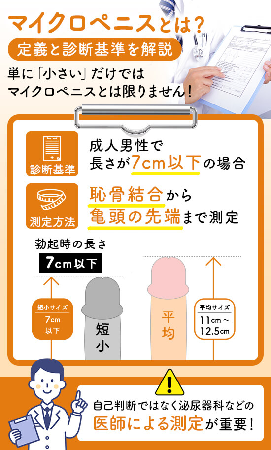 マイクロペニス（小陰茎症）とは？定義と診断基準を解説