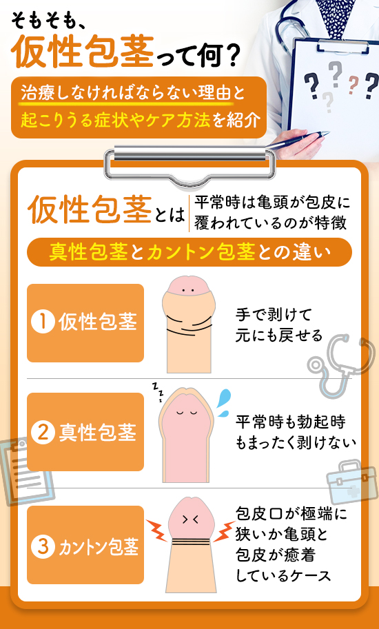 仮性包茎とは