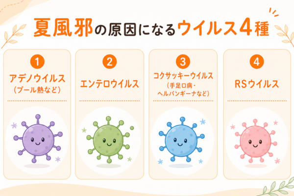 夏風邪の原因になるウイルス4種