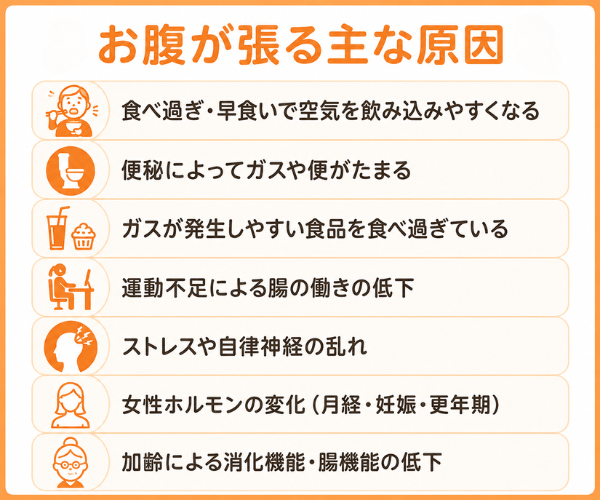 お腹が張る主な原因
