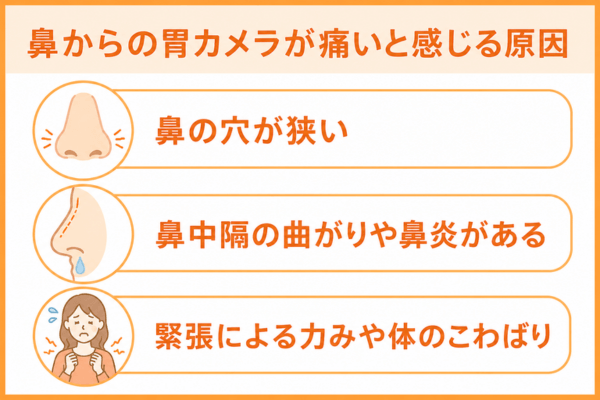 鼻からの胃カメラが痛いと感じる原因