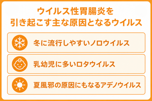 ウイルス性胃腸炎を引き起こす主な原因となるウイルス