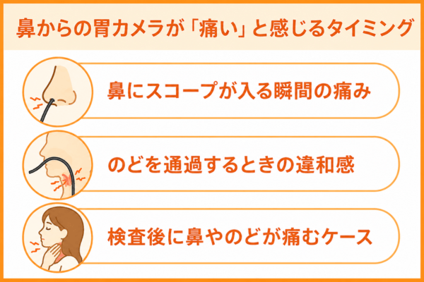 鼻からの胃カメラが「痛い」と感じるタイミング