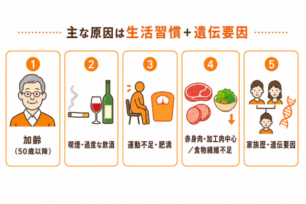 大腸ポリープができる主な原因