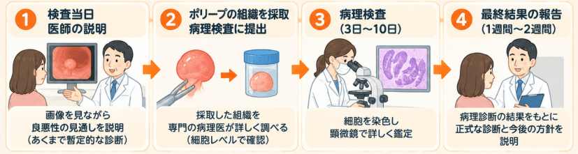 大腸ポリープが良性か悪性か検査後の流れ