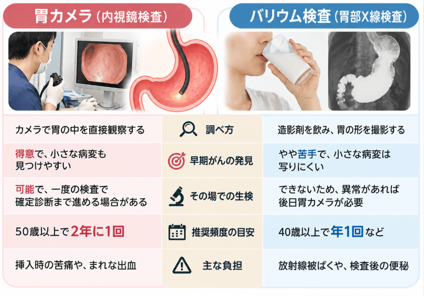 バリウム検査と胃カメラは何が違う？それぞれの推奨頻度