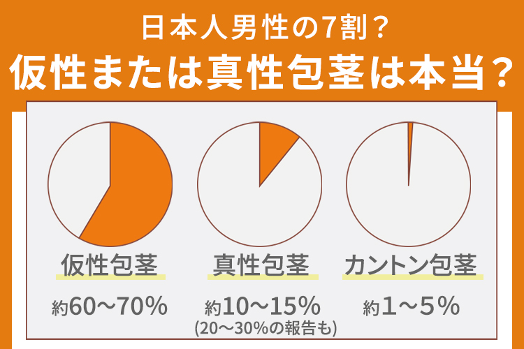 日本人男性の7割が仮性または真性包茎は本当？