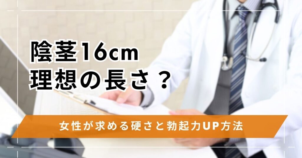 陰茎(ちんこ)16cmは理想の長さ？女性が求める硬さと勃起力UP方法