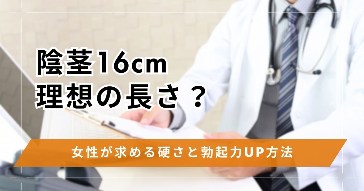 陰茎(ちんこ)16cmは理想の長さ?女性が求める硬さと勃起力UP方法