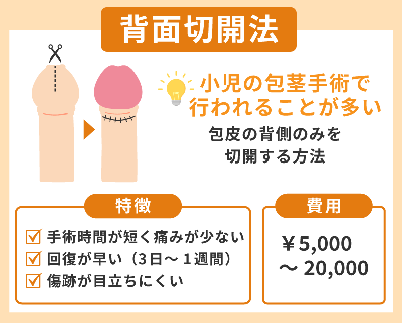 背面切開法は傷跡が目立ちにくい