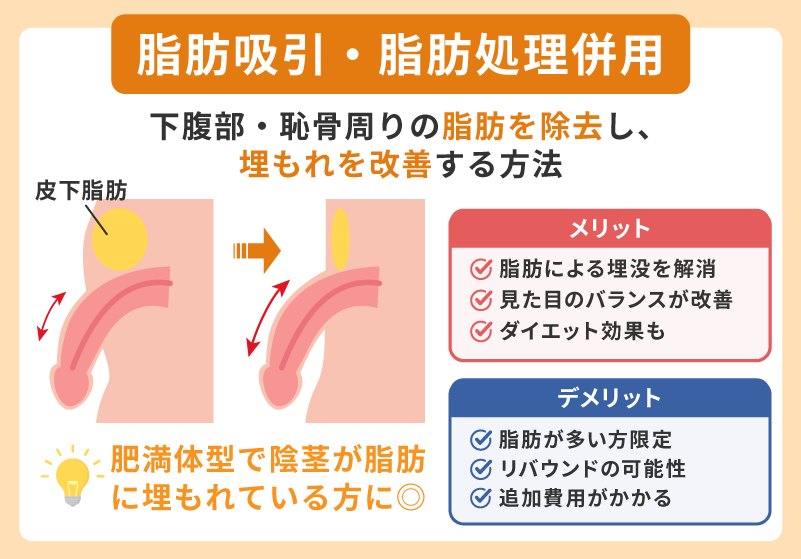 脂肪吸引・脂肪処理併用