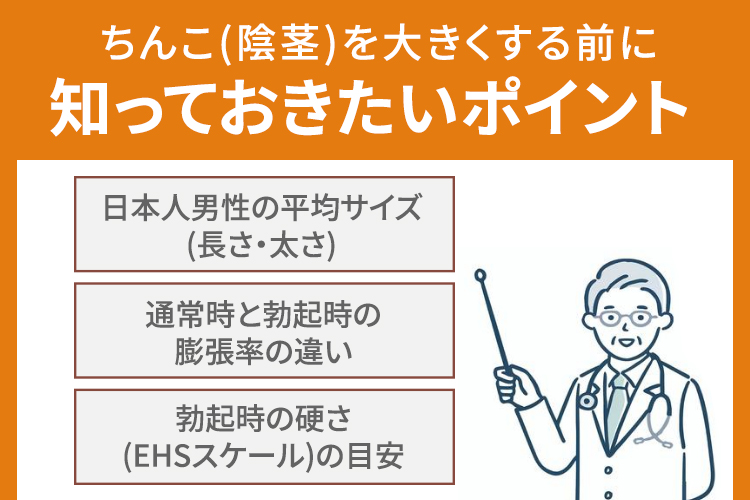 ちんこ(陰茎)を大きくする前に知っておきたいポイント