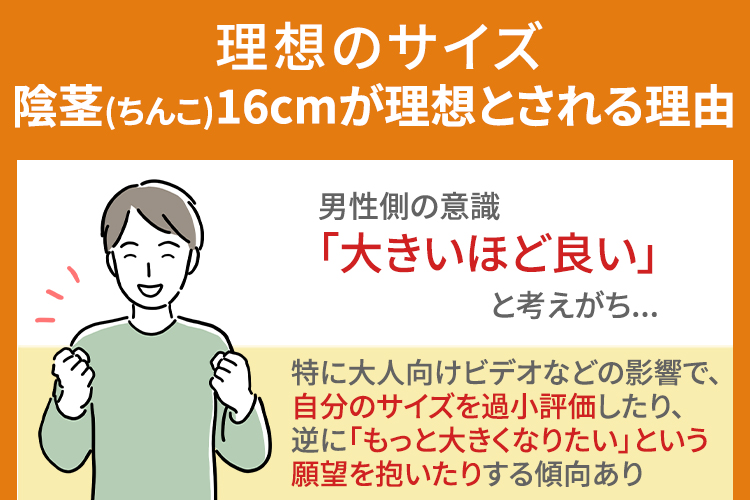陰茎(ちんこ)16cmが理想サイズといわれる理由