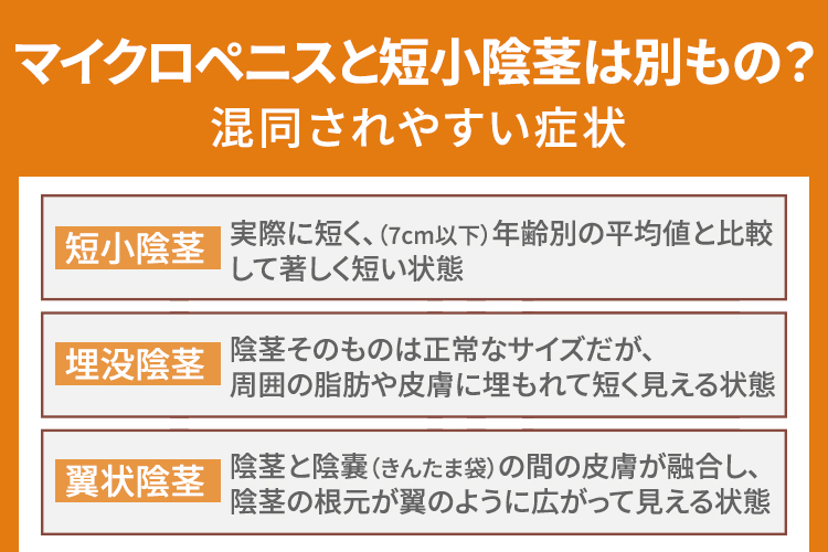 マイクロペニスと短小陰茎は別もの？混同されやすい症状