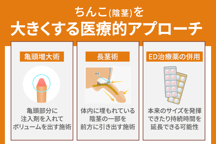 ちんこ(陰茎)を大きくする医療的アプローチ