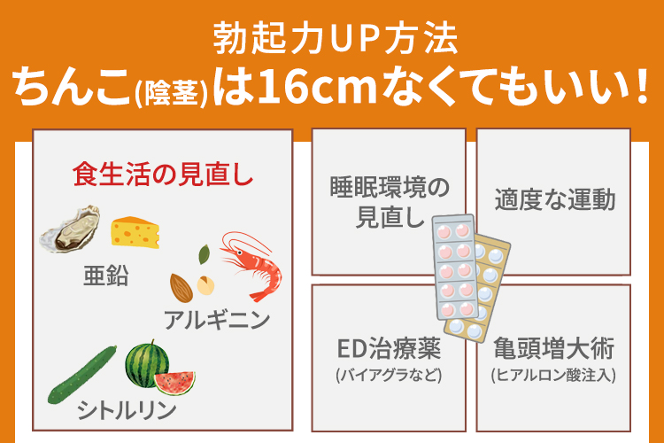 陰茎(ちんこ)は16cmなくてもいい！勃起力UP方法